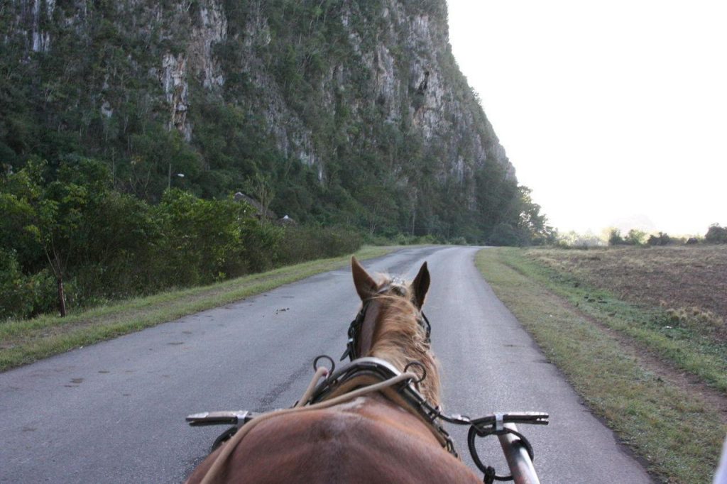 Carriole de retour après la randonnée à Viñales