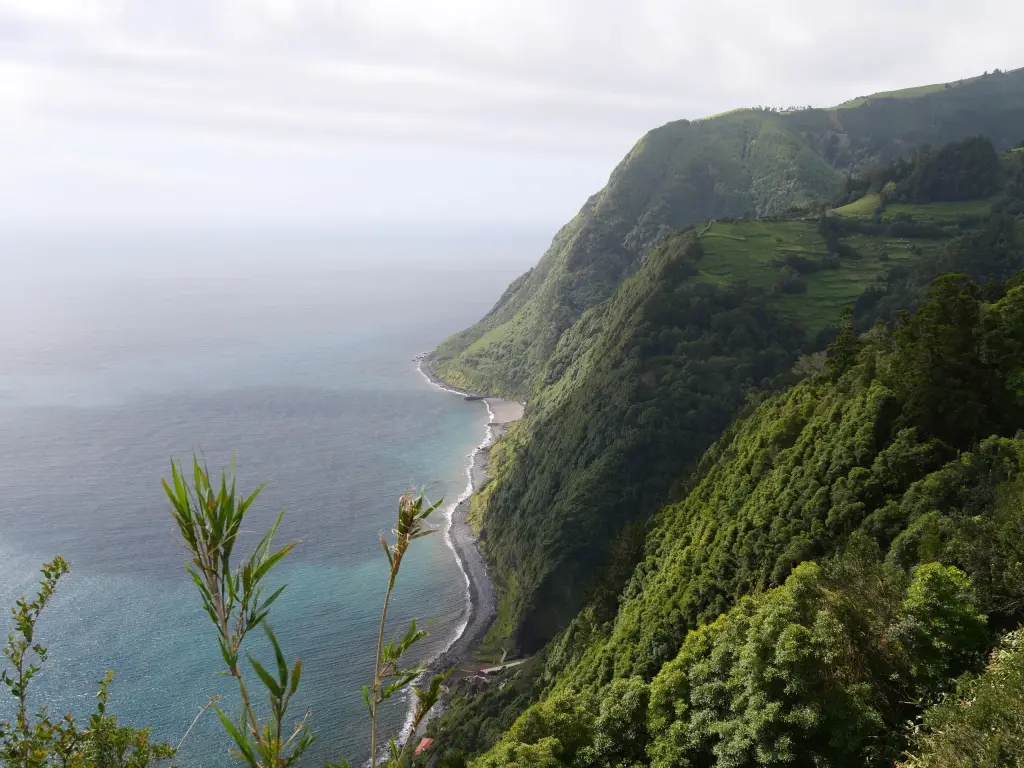 Falaises verdoyantes depuis Ponta da Madrugada