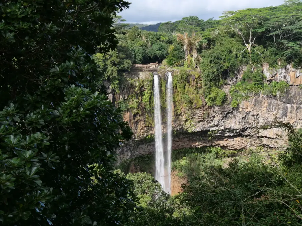 Cascade de Chamarel et sa falaise boisée vues depuis le belvédère