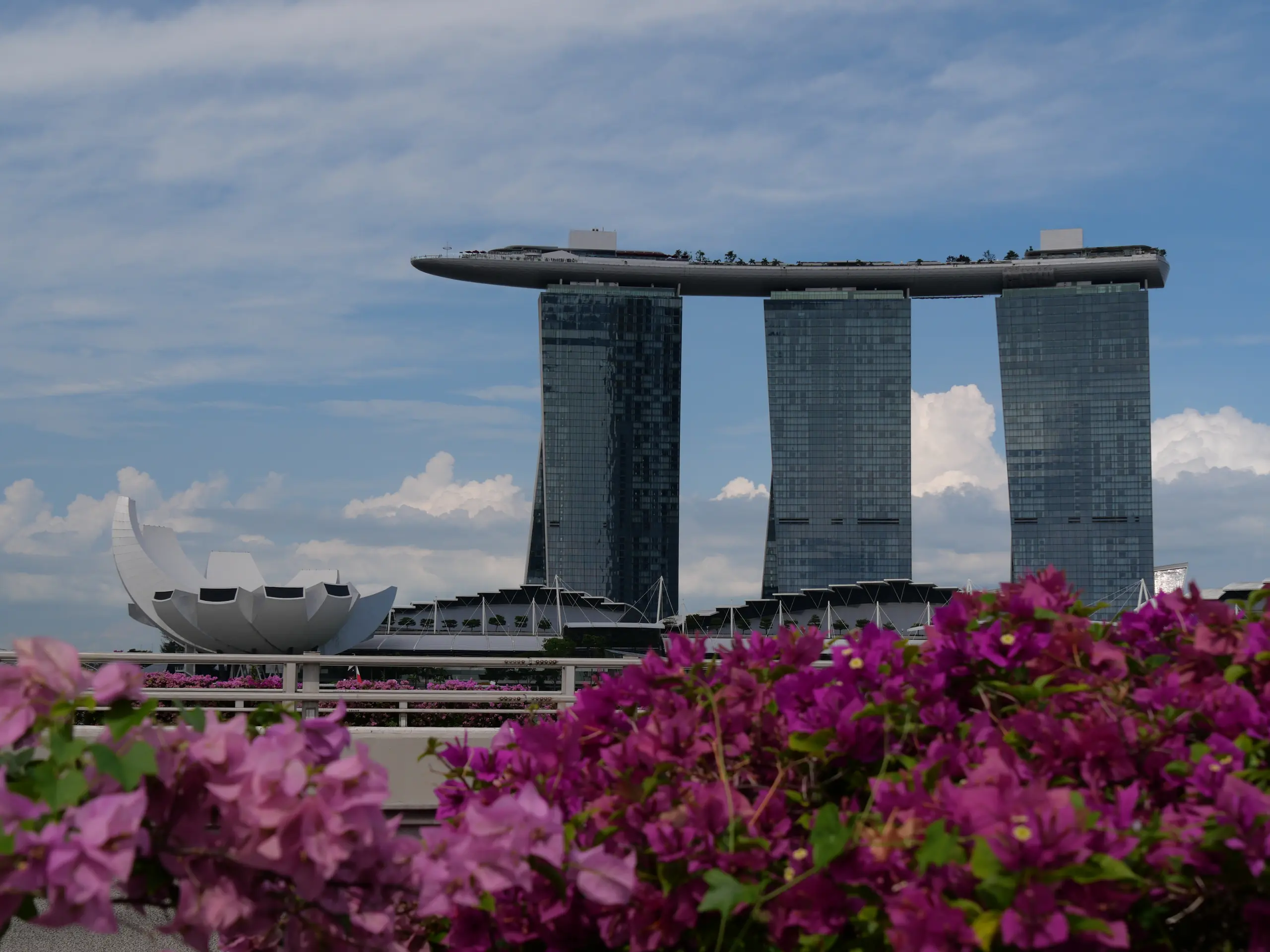 Marina Bay Sands et ArtScience Museum derrière des fleurs à Singapour