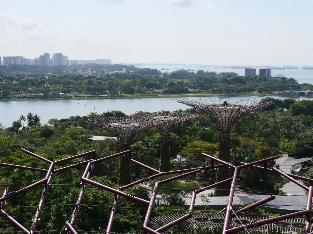 Passerelle et structure du Supertree Observatory