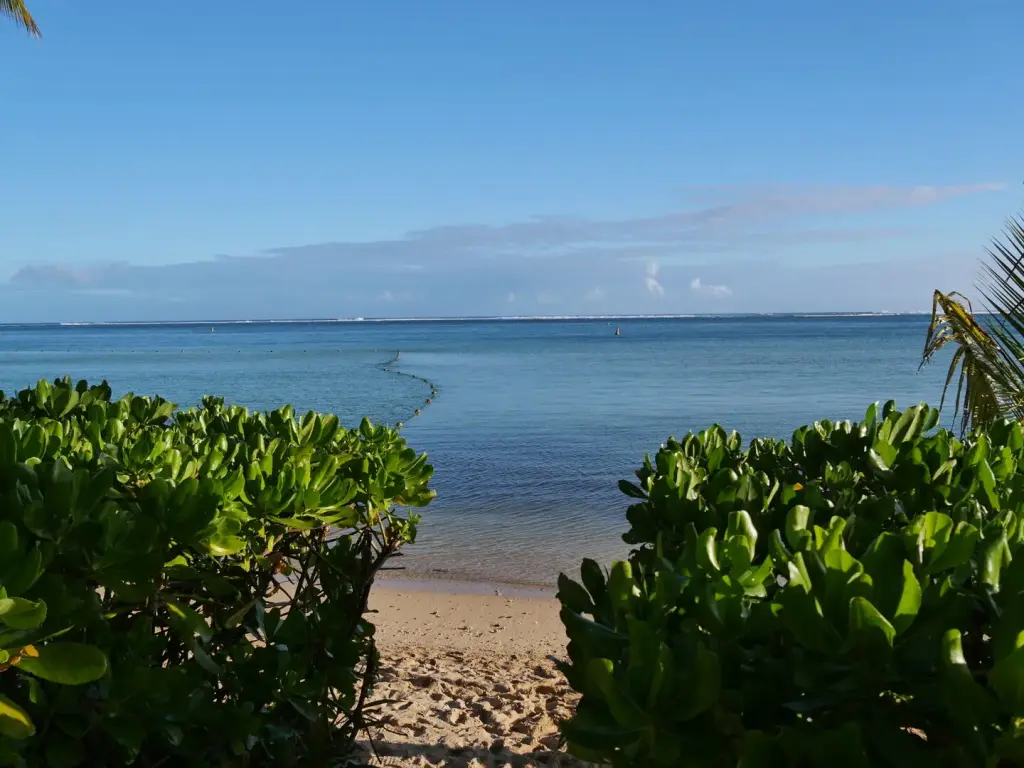 Végétation bordant la plage du Heritage Le Telfair à Maurice