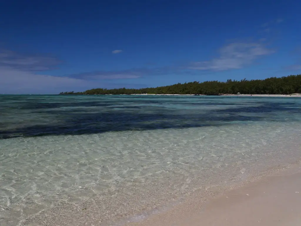 Plage claire et eau turquoise sur l'île aux Cerfs à Maurice