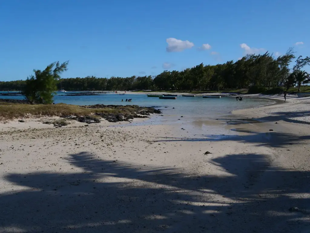 Plage à l'ombre des arbres sur l'île aux Cerfs