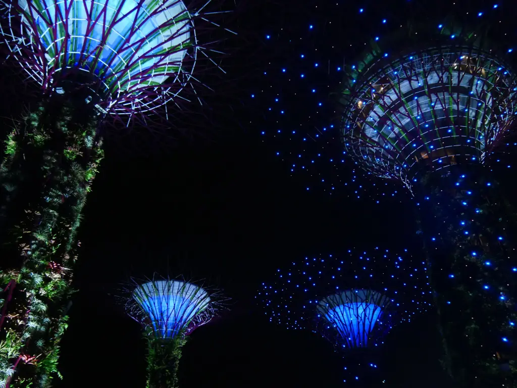 Spectacle lumineux dans les Supertrees de Gardens by the Bay