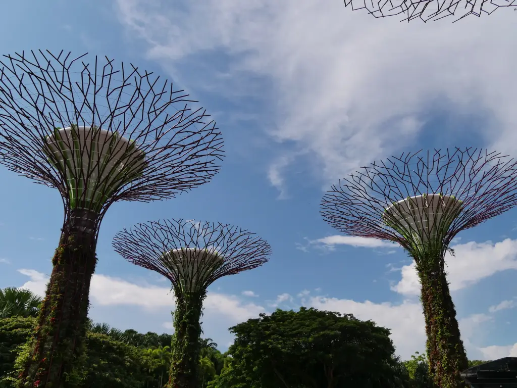 Supertrees de Gardens by the Bay sous le ciel bleu