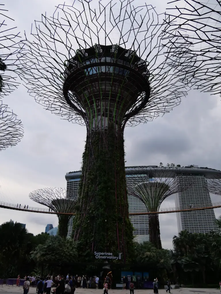 Supertree Grove à Gardens by the Bay