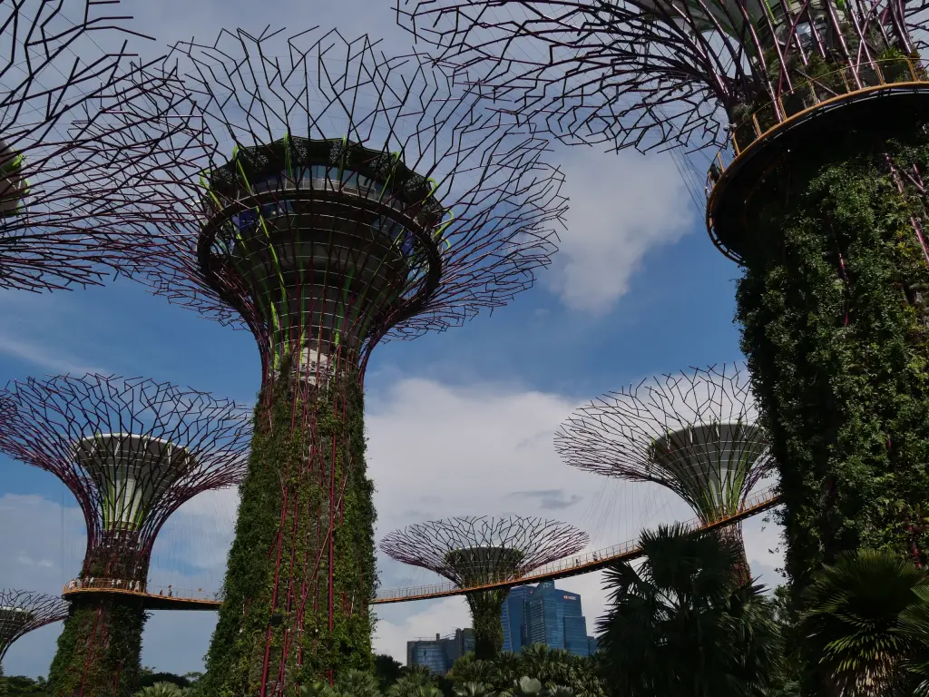 Supertrees et passerelle de Gardens by the Bay