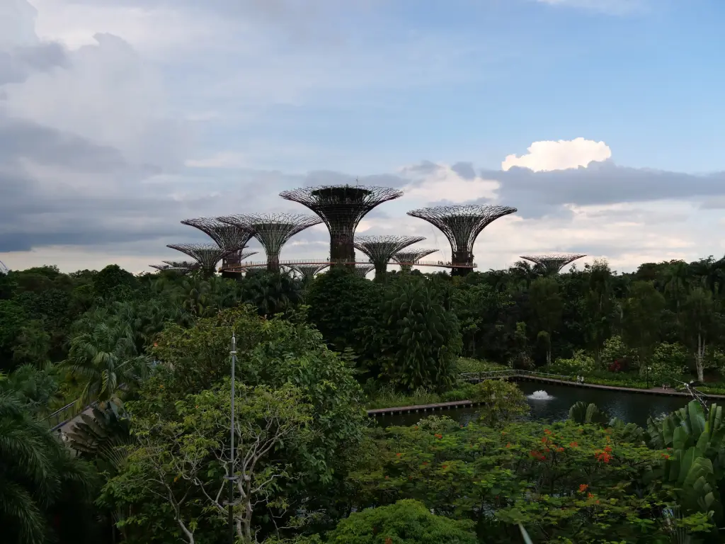 Vue générale de Gardens by the Bay et de ses Supertrees