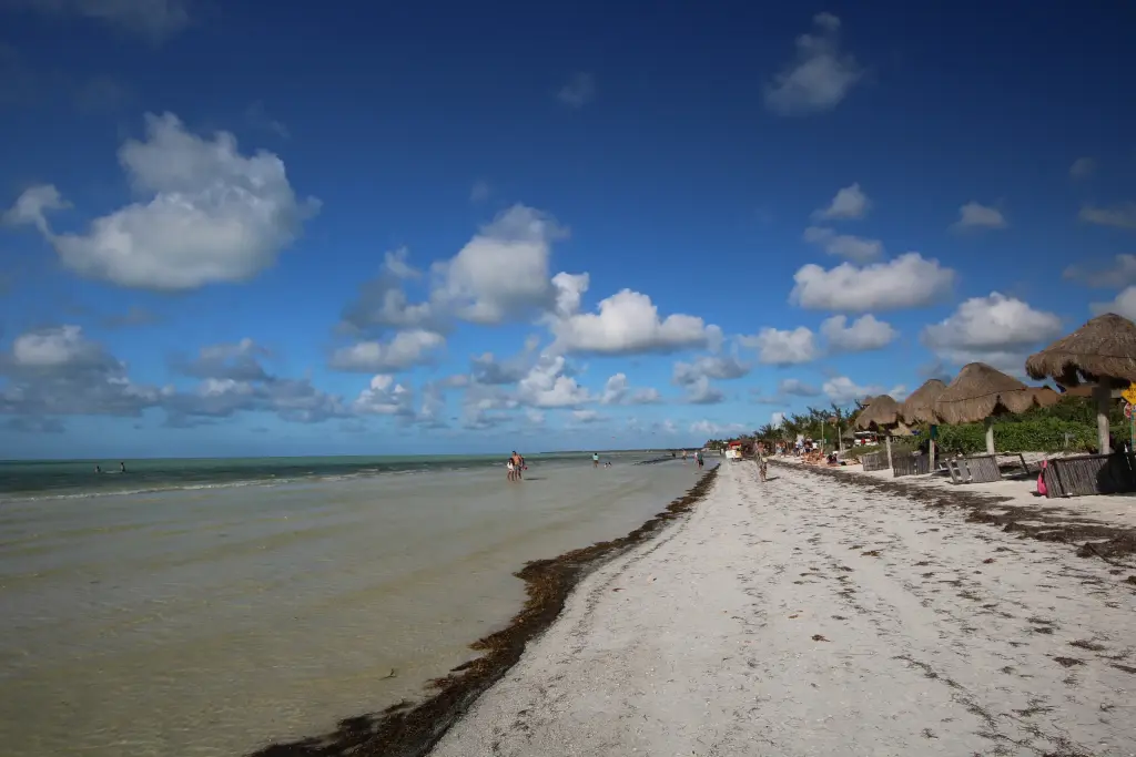 Banc de sable et eau calme le long de la plage de Holbox