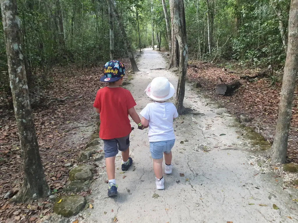 Chemin forestier parcouru avec les enfants à Calakmul