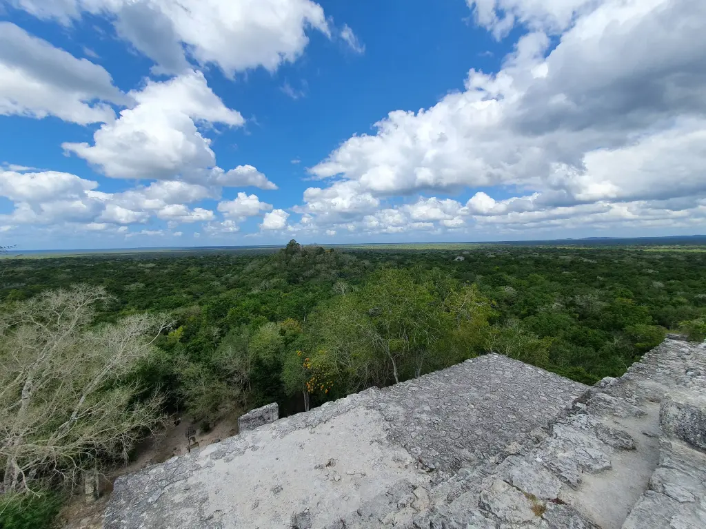 Forêt à perte de vue depuis une pyramide de Calakmul
