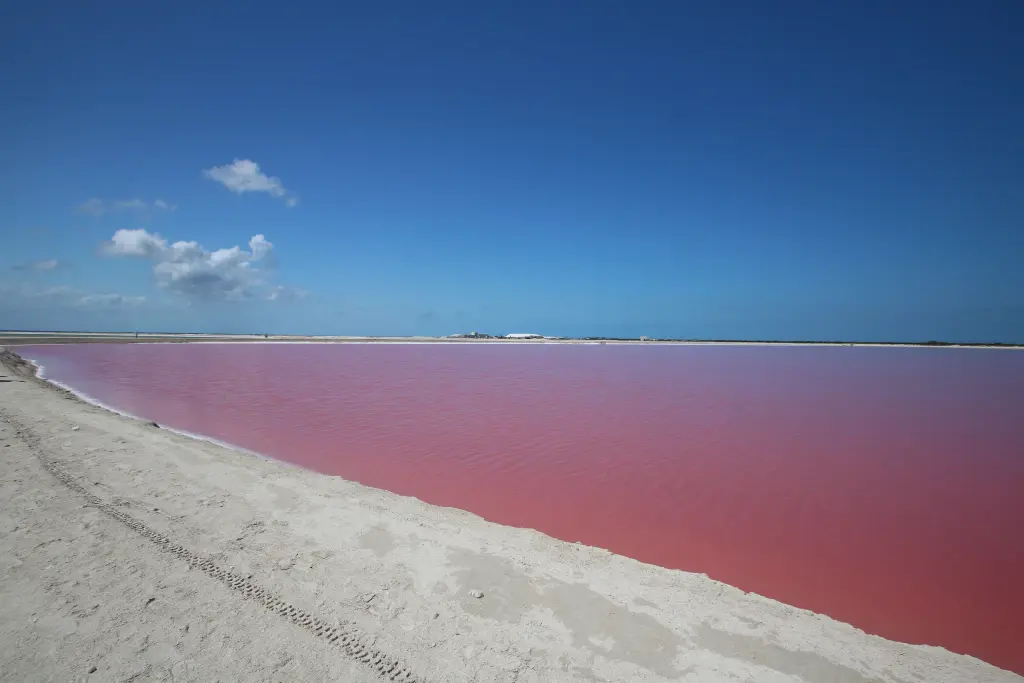 Lagune rose de Las Coloradas dans le Yucatán