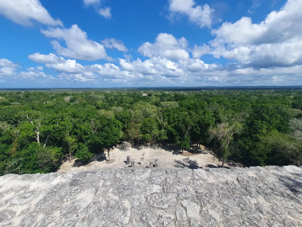 Panorama de forêt depuis les hauteurs de Calakmul