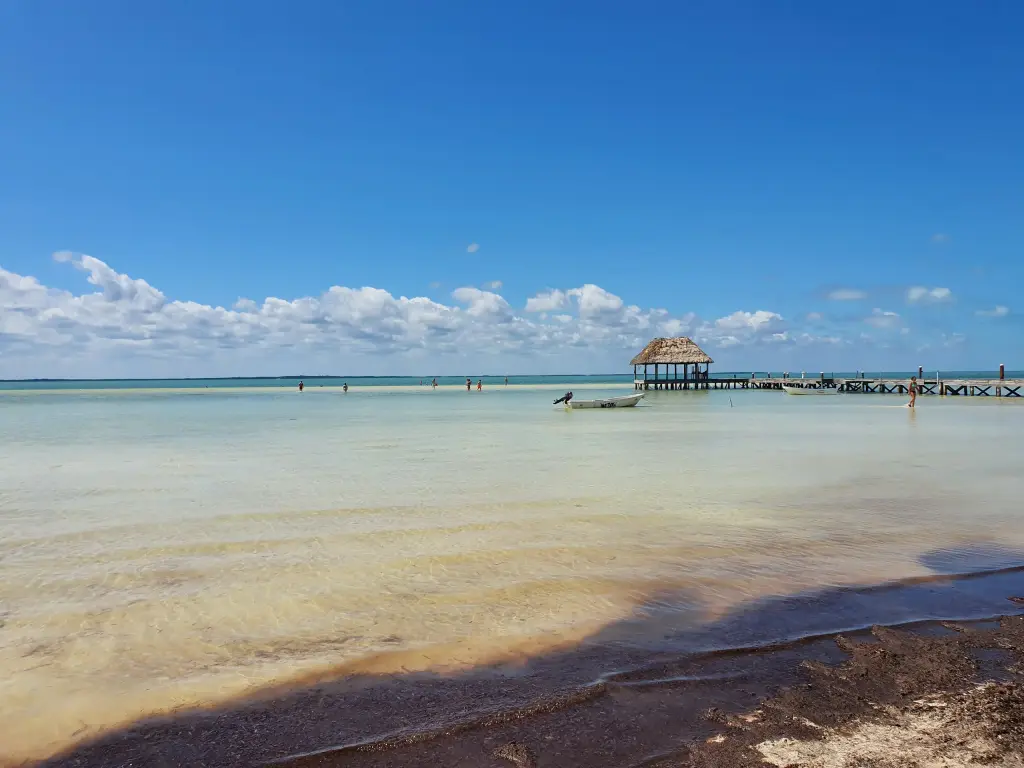 Baignade dans une eau peu profonde sur l'île de Holbox