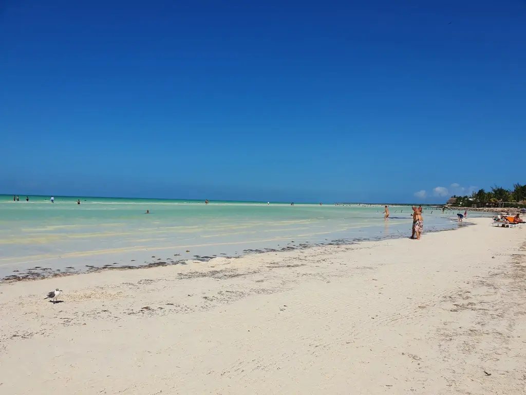 Plage de sable clair et eau turquoise à Holbox