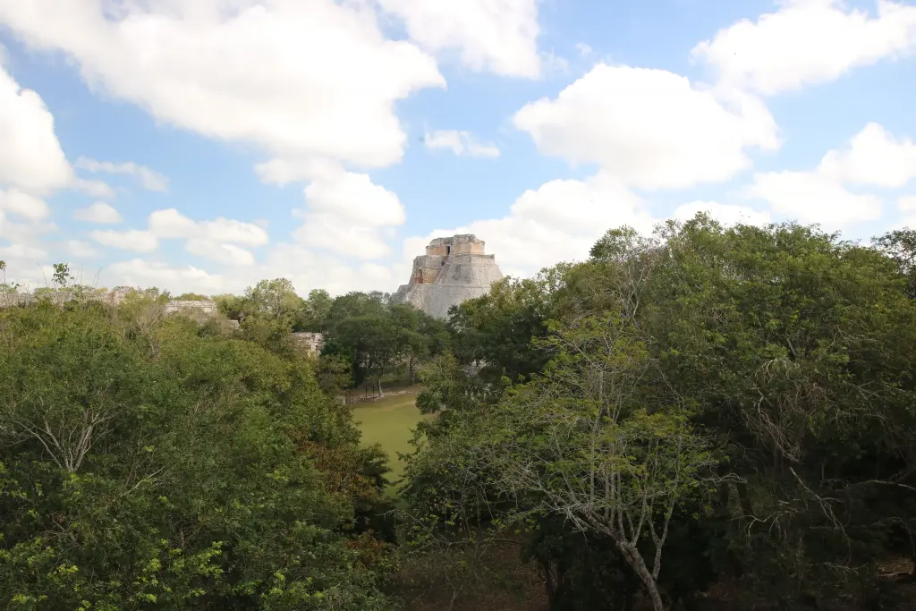 Ruines mayas d'Uxmal émergeant derrière les arbres